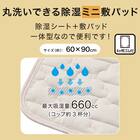 丸洗いできる除湿機能 ミニ敷パッド(MA01) 2枚目画像