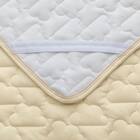 丸洗いできる除湿機能 ミニ敷パッド(MA01) 5枚目画像