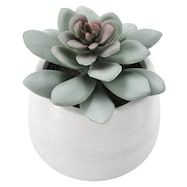 フェイクグリーン(HAC222260)