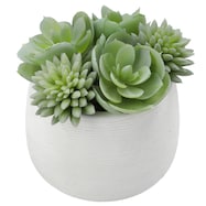 フェイクグリーン(HAC222019)