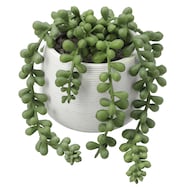 フェイクグリーン(HAC222261)