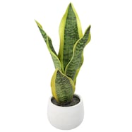 フェイクグリーン(HAC222263)