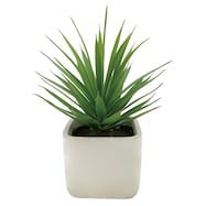 消臭剤配合グリーン ソードグラス(HA01)