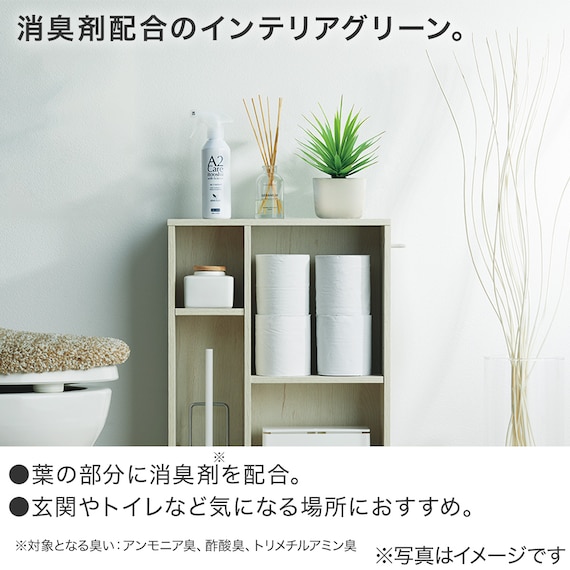 消臭剤配合グリーン 多肉植物(HA02) 2枚目画像