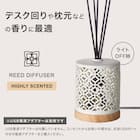 LEDライト付きディフューザー(RF01) 2枚目画像