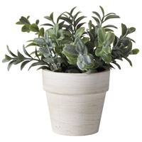 卓上グリーン (Tea HA02)