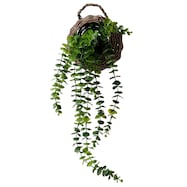 壁掛けグリーン (ハンキングウィロー HA04)