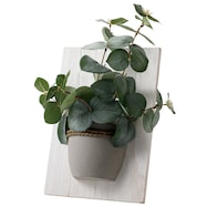 壁掛けグリーン (カベカケ HA05)