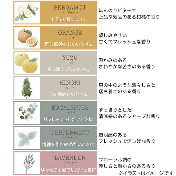 エッセンシャルオイル(ペパーミント 10mL) 2枚目画像