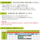 【観葉植物】モンステラ(5号 プラ鉢付き ストライプ ホワイト) 4枚目画像