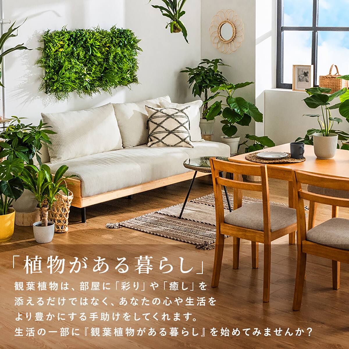 観葉植物】モンステラ(5号 プラ鉢付き 石目調 ホワイト) | ニトリ