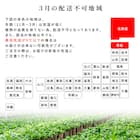 【観葉植物】モンステラ(5号 プラ鉢付き 石目調 ホワイト) 17枚目画像