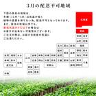 【観葉植物】ウンベラータ(7号 プラ鉢付き ストライプ イエロー) 17枚目画像