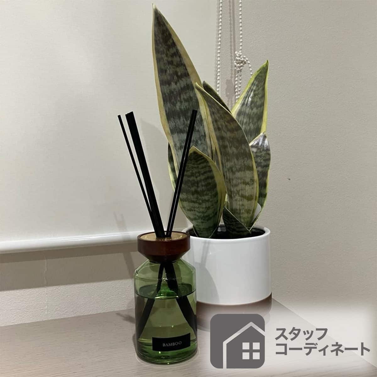 アロマディフューザー BAMBOO (CO08) | ニトリネット【公式】 家具