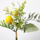 レモンのブーケ(TD01) 3枚目画像