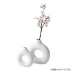 セラミックベース(SサイズSD12) 7枚目画像