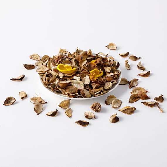 ポプリ ジャスミン(YE 02) 3枚目画像