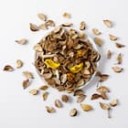 ポプリ ジャスミン(YE 02) 4枚目画像