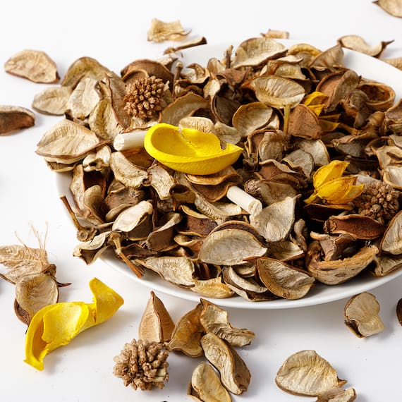 ポプリ ジャスミン(YE 02) 5枚目画像