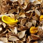 ポプリ ジャスミン(YE 02) 6枚目画像