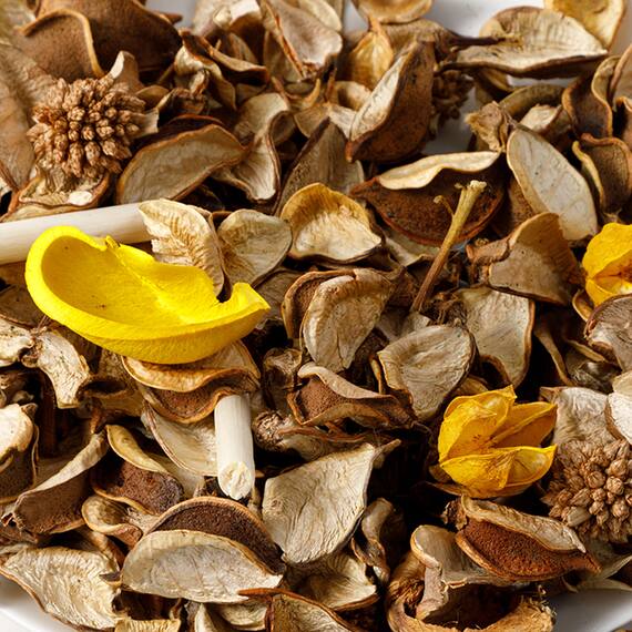 ポプリ ジャスミン(YE 02) 6枚目画像