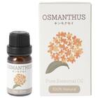 エッセンシャルオイル(キンモクセイ 10mL) 1枚目画像