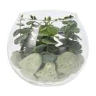 ガラスグリーンポット(ラウンドDT03) 3枚目画像