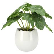 たまごポットグリーン(HA12/HA13)