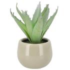 消臭剤配合卓上グリーン(HA14) 1枚目画像