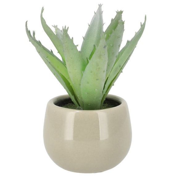 消臭剤配合卓上グリーン(HA14) 1枚目画像