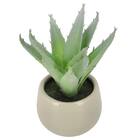 消臭剤配合卓上グリーン(HA14) 2枚目画像