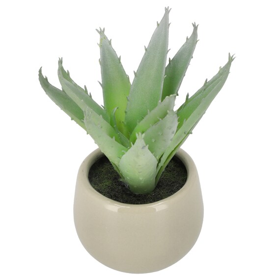 消臭剤配合卓上グリーン(HA14) 2枚目画像