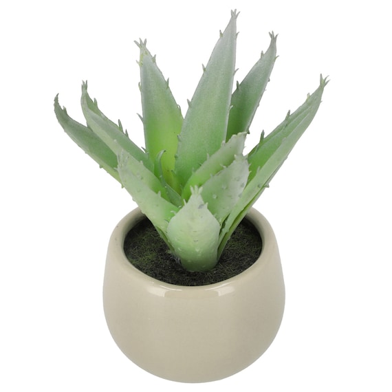 消臭剤配合卓上グリーン(HA14) 2枚目画像