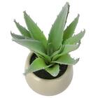 消臭剤配合卓上グリーン(HA14) 3枚目画像