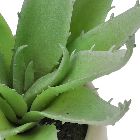 消臭剤配合卓上グリーン(HA14) 4枚目画像