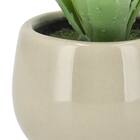 消臭剤配合卓上グリーン(HA14) 5枚目画像