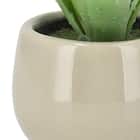 消臭剤配合卓上グリーン(HA14) 5枚目画像