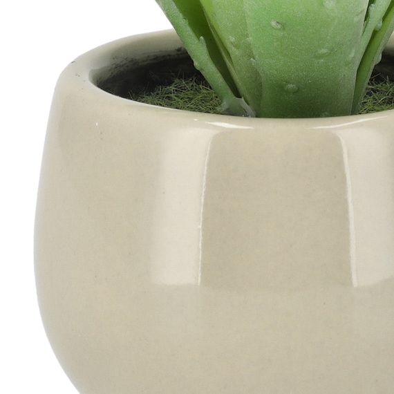 消臭剤配合卓上グリーン(HA14) 5枚目画像