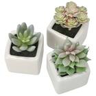 消臭剤配合グリーン(3個セット) 1枚目画像