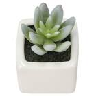 消臭剤配合グリーン(3個セット) 2枚目画像