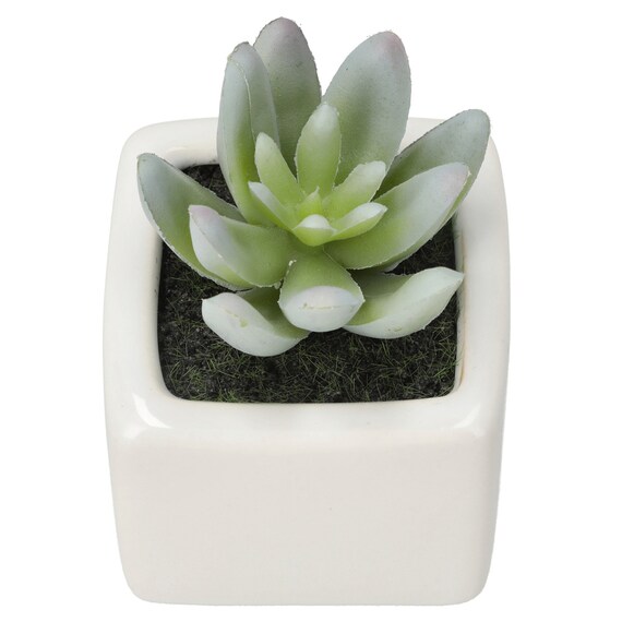 消臭剤配合グリーン(3個セット) 2枚目画像