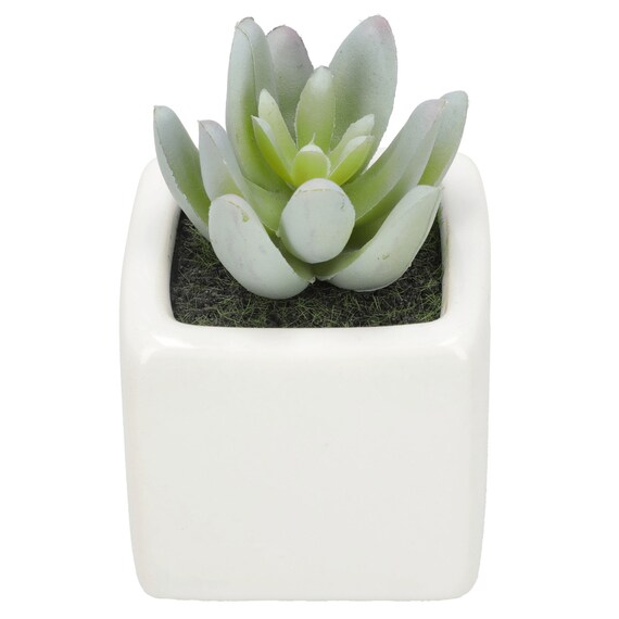 消臭剤配合グリーン(3個セット) 3枚目画像