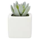 消臭剤配合グリーン(3個セット) 4枚目画像