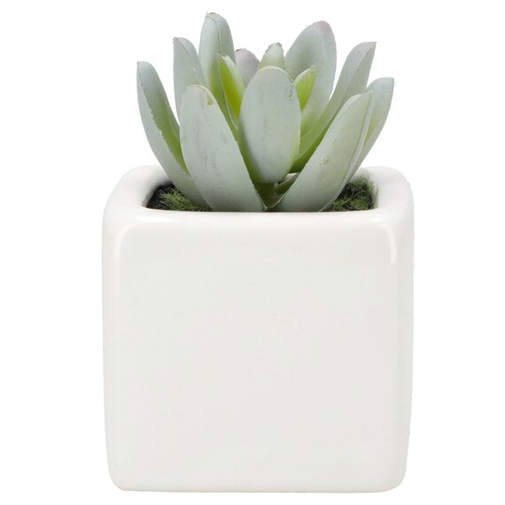 消臭剤配合グリーン(3個セット) 4枚目画像