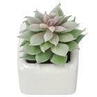 消臭剤配合グリーン(3個セット) 5枚目画像