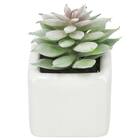 消臭剤配合グリーン(3個セット) 6枚目画像