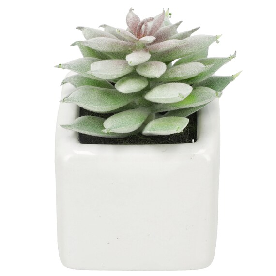 消臭剤配合グリーン(3個セット) 6枚目画像