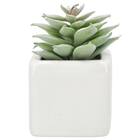 消臭剤配合グリーン(3個セット) 7枚目画像