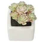 消臭剤配合グリーン(3個セット) 8枚目画像