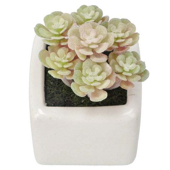 消臭剤配合グリーン(3個セット) 8枚目画像